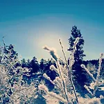 Деревянный коттедж Engeset Trehytter *