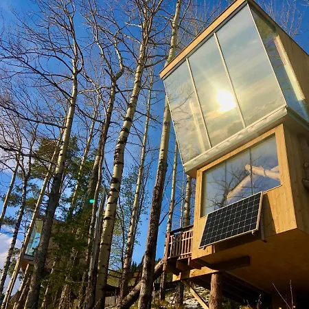 Engeset Trehytter Vereide