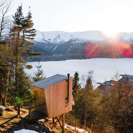 Engeset Trehytter Vereide