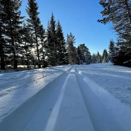 Jaktstuga Engeset Trehytter *
