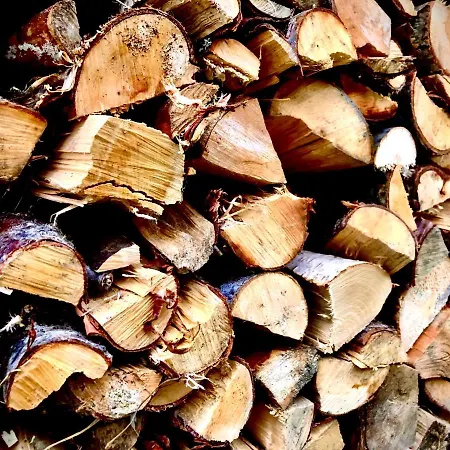 Engeset Trehytter Vereide