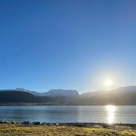 Engeset Trehytter * Vereide