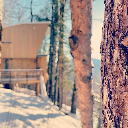 Engeset Trehytter Vereide