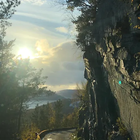 Engeset Trehytter Vereide