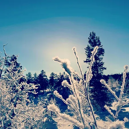 Jaktstuga Engeset Trehytter *