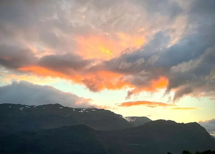 Engeset Trehytter Vereide