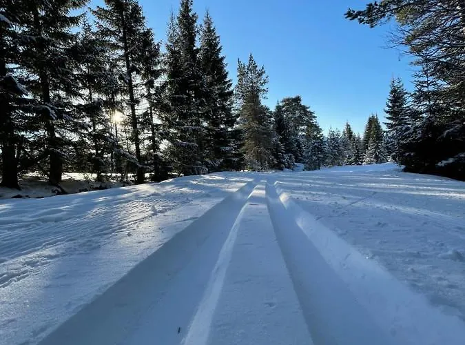 Lodge Engeset Trehytter *