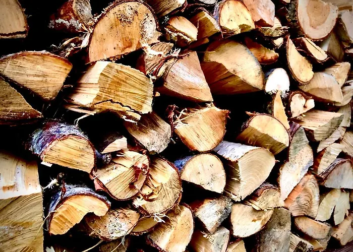 Engeset Trehytter Vereide